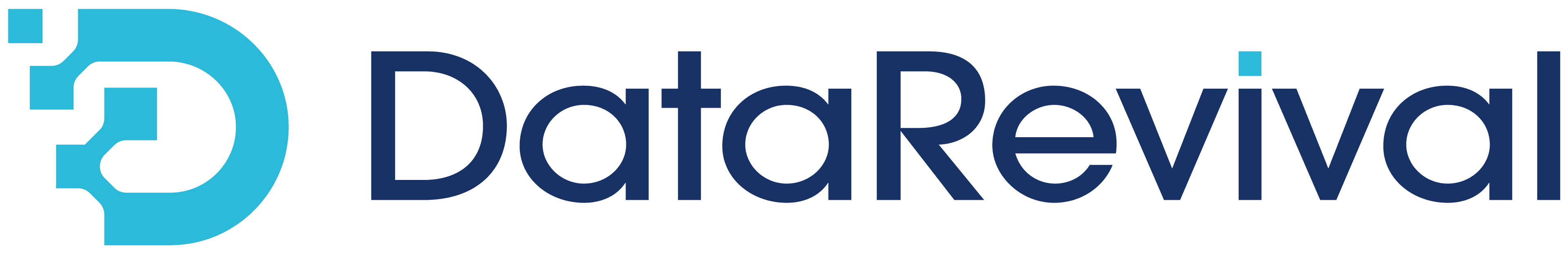 Data Revival logo