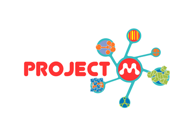 Project M logo